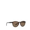 Polo Ralph Lauren Sunglasses PH4172 595473 Brown