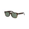 Saint Laurent Sunglasses SL 51 Rim Brown