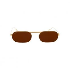 Cartier Sunglasses CT0112S 005 Brown