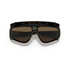 Dolce & Gabbana Sunglasses Brown