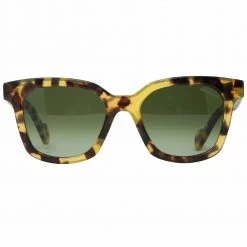 Moncler Sunglasses Brown -herre-solbriller Butikk unnamed file 925